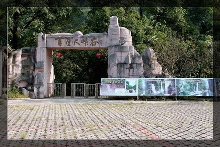 来宾天气预报10天查询