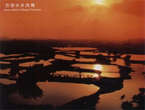 鹤山天气预报15天查询