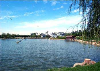 津南天气预报15天查询