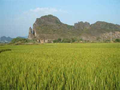 龙岩天气预报15天查询