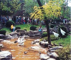 路南天气预报15天查询