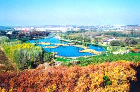 南关天气预报15天查询