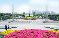 浦东天气预报15天查询