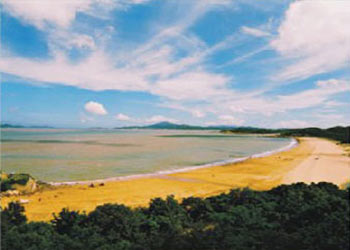 普陀天气预报15天查询