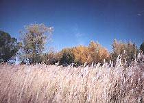 铁锋天气预报15天查询