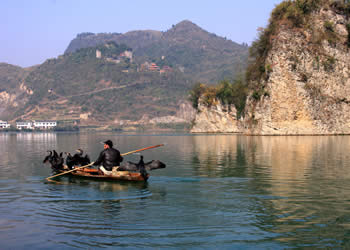 玉屏天气预报15天查询