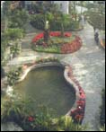上海植物园展览温室馆天气