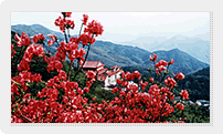永州阳明山天气